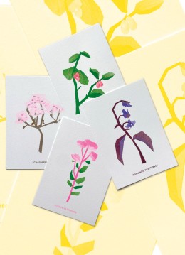 Jetzt Fördermitglied werden