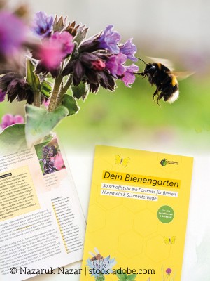 Ratgeber "Dein Bienengarten"