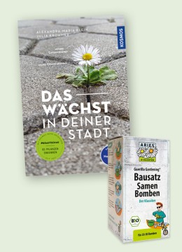 Jetzt Fördermitglied werden