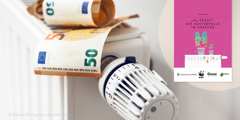 H2-Ready-Gasheizungen im Check