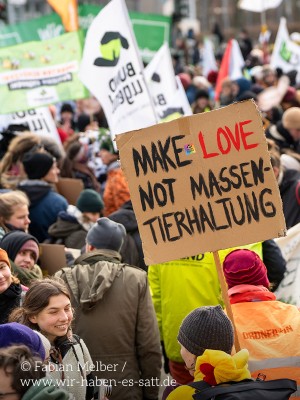 Bericht zur Wir-haben-es-satt Demo in Berlin