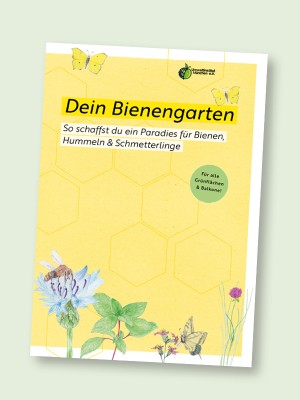 Unsere neue Bienenfibel - jetzt bestellen!