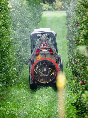 Ein kleiner Traktor bringt Pestizide in einer Obstplantage aus