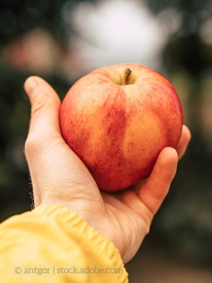 Symbolbild reifer Apfel