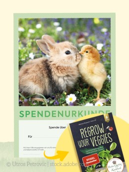 Spendenurkunde