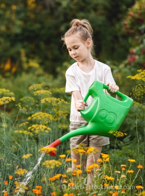 Ein Mädchen gießt Blumen.