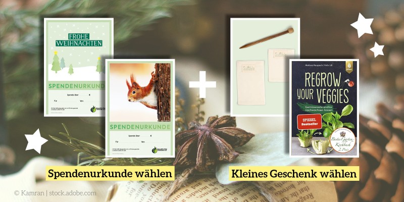 Weihnachtlicher Hintergrund, Vordergrund: Spendenurkunde und kleines Geschenk