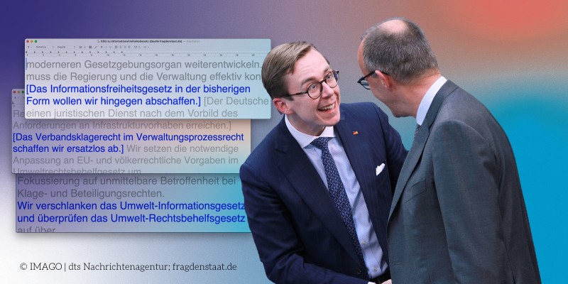 Philipp Amthor und Friedrich Merz