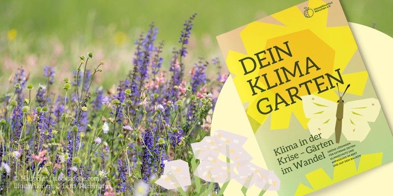 Blumenwiese und Ratgeber "Dein Klimagarten"