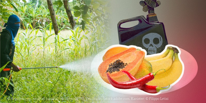 Collage: Links ein Mensch, der auf einem Feld Pflanzenschutzmittel sprüht; rechts Bild von Banane, Papaya und Chili, daneben ein schwarzer Kanister mit Totenkopf-Symbol.