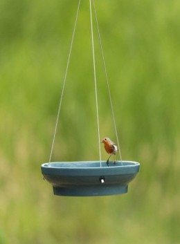 Jetzt Förderbeitrag erhöhen und Prämie sichern